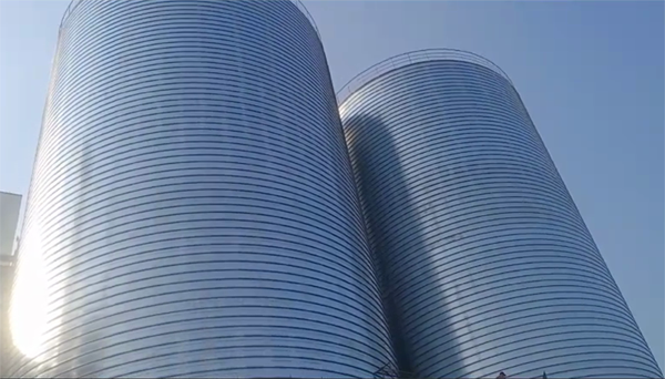 新乡2座混凝土高架卷板仓